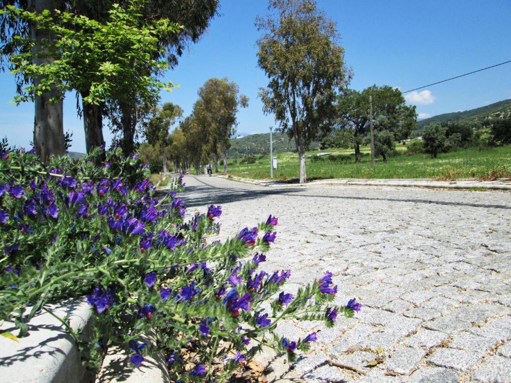 Zeybek 1 Pension Patara Luaran gambar